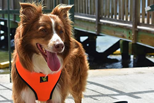 Image of Classic Dog Harness Over The Head Mesh - No Pull No Choke Design Soft Mesh Padded Breathable Vest for Eco-Friendly for Full Size Breeds & Extra Large Dogs (XXL, Orange)
