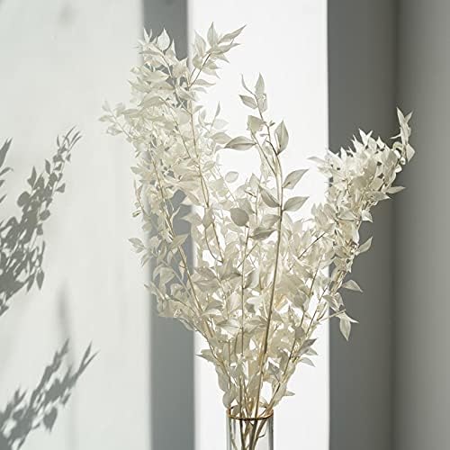 Miniatura 6 de NHUNPPGR Natural Plants, Rich Leaves, Table Easter Christmas Nordic Decorations, Photography Props Party Backdrops Florist Supplies