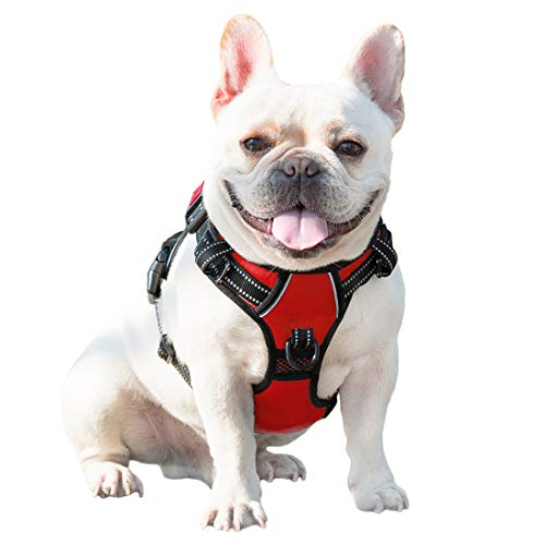 Image of PHOEPET No Pull Dog Harnesses for Small Dogs Reflective Adjustable Front Clip Vest with Handle 2 Metal Rings 3 Buckles [Easy to Put on & Take Off](XS, Red)