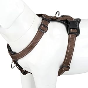 Plutus Pet Adjustable No Pull Dog Harness with Leather Accents, Heavy Duty Reflective Nylon Vest for Training, Hiking, Easy Walk Harness for Small, Medium, Large Dogs (Chocolate, XL)