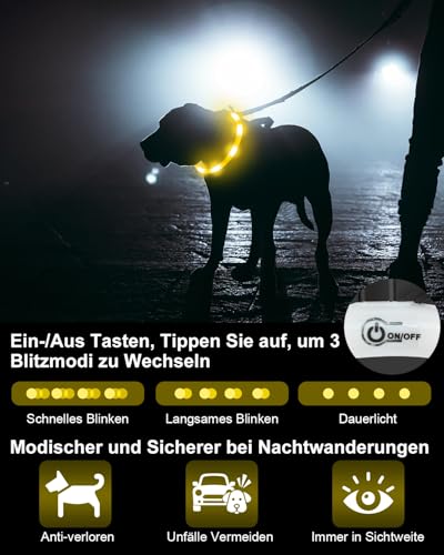 Joytale Leuchthalsband Hund USB Aufladbar Hundehalsband Leuchtend für Große Mittel Kleine Hunde und Welpe, Led Halsband mit 3 Modi für Sicherheit, Gelb