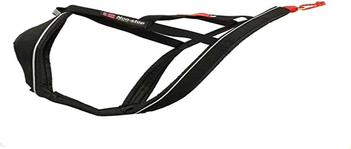 Leash for Dogs