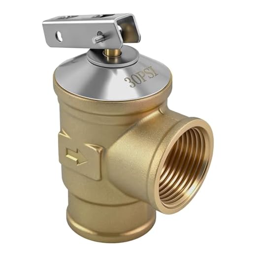 30 PSI Automatic Pressure Relief Valve for Boilers