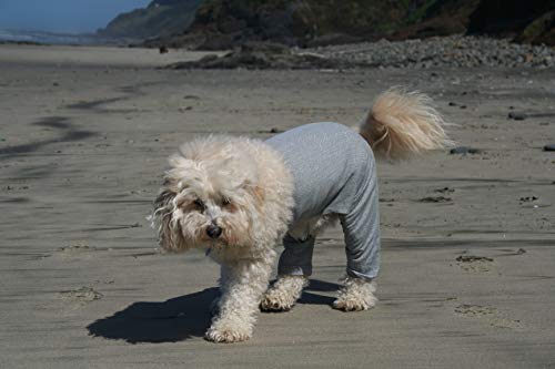 Mozzie Pants XL Walking Pants Grey - Thumbnail 2