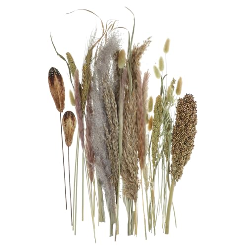 Ramo de pasto pampas seco para decoración miniatura 1