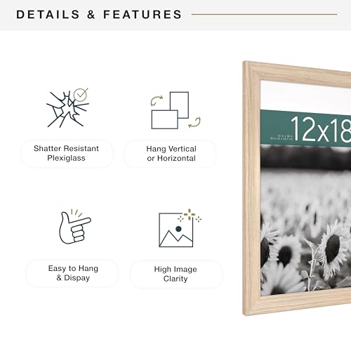 MCS Studio Gallery Classic 12x18 Picture Frame Natural Woodgrain, Vertical & Horizontal Wall Hanging Large Picture Frame for Photos, Posters & Art Prints (1-Pack)