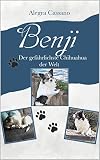 Benji: Der gefährlichste Chihuahua der Welt