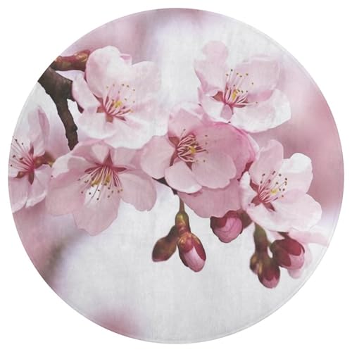 Tapis de sol rond antidérapant chambre salon absorbant