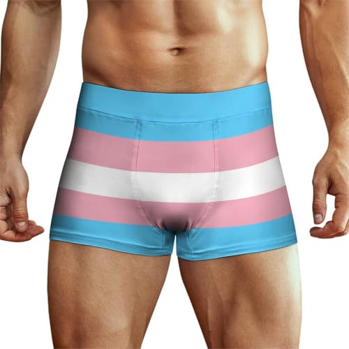 Mens Boxer Briefs Cute Colorful Cat Boxer Shorts Comfort Flex Fit Sport Underwear Pouch Support Novelty Boxers XS-4XL