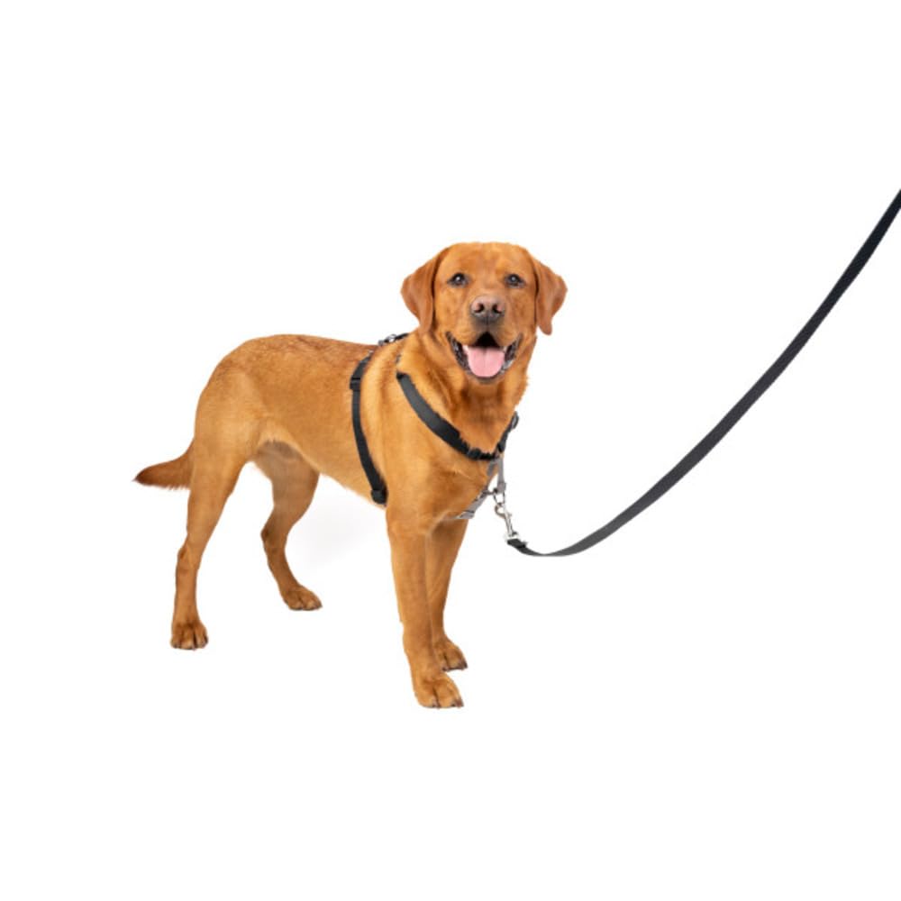 PetSafe Harnais 3-en-1 pour Chien - Ceinture de Sécurité pour Voiture - Anti-Traction – Confortable, Coutures Réfléchissantes – Noir, L