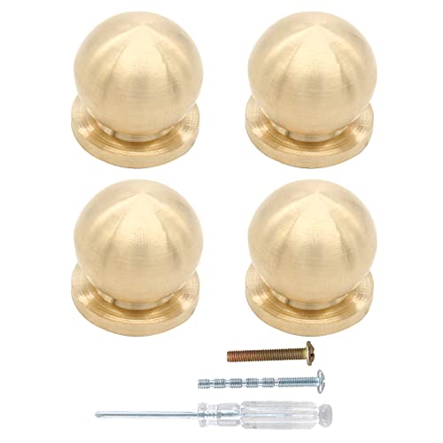 Kyuionty 4 Pcs 3/4 Inch (19mm) Diameter Round Solid Brass Cabinet Knobs, Small Brass Drawer Pulls Knobs for Kitchen, Dresser, Jewelry Box (Gold)