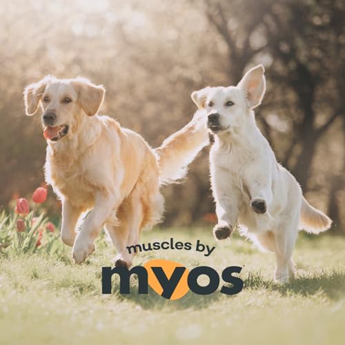 MYOS CANINE MUSCLE FORMULA - All-Natural Muskelaufbau Supplement - Hilft, den Muskelverlust bei Hunden durch normales Altern zu reduzieren und verbessert die Erholung nach Verletzungen oder