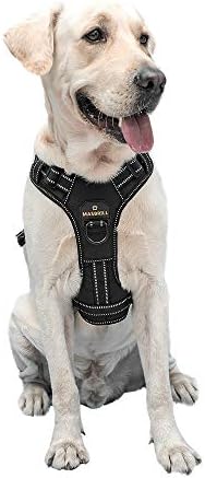 MASBRILL No Pull Dog Harness, No Choke Pet Vest Harness with Front and Back 2 Lead Clips, Adjustable Soft Padded Dog Vest with Easy Control Handle