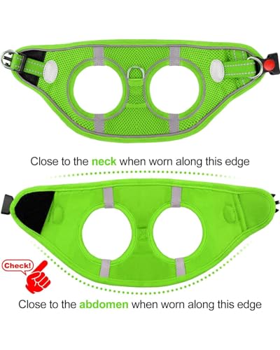 Joytale Hundegeschirr, Reflektierend Weich Gepolstert Hunde Geschirr, Air-Mesh Atmungsaktiv Brustgeschirr für Katze Welpen, Kleine Hunde, XXS, Grün