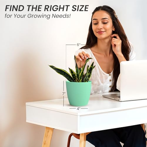 Image of YUCCABE ITALIA SHERA Stella 6 Inch Plastic Plant Pot for Home Decor Indoor Plant Pots for Living Room Plastic Flower Pot for Garden (Seagreen, 6 INCH - 6 Pcs)