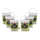  Pesto de Pistachos, Hecho en Italia, 6 Baldos de 1 kg Cada Uno