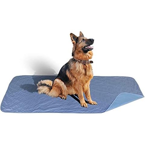 Careoutfit 36 x 72 - XXL Big Size Premium Stain Resistant Quick Absorbent Waterproof Reusable/Quilted Washable Large Dog/Puppy Training Travel Pee Pads Cover