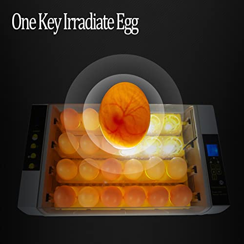 ZQWOZQ Automatische Eggs Brutmaschine, Intelligent, Konstanttemperaturregelung Inkubator Für 24 Eier, Klein Heimat… – Bild 5