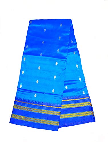 RRK Silk Narayanpet Saree with Blouse (Sky Blue and Blue Border)