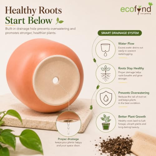 Image of ecofynd 5 Inch Ceramic Plant Pots with Drainage Hole, Modern Decorative Clay Flower Pots for Indoor Plants, Home Garden Decor for Living Room, Bedroom & Interior Spaces (Pack of 4, CPOT041-MUL)