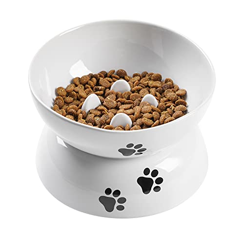 Wellbro Raised Slow Feeder Cat Bowl, Ceramic Elevated Cat Slow Feeder, Raised Cat Dish For Dry Wet Cat Food,Backflow Prevention,Dishwash Safe #TOP19