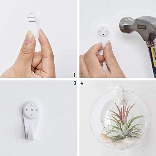Set Of 3 Wall Hanging Terrariums Indoor Plants Holders Wall Glass Vase For Flowers Wall Mounted Planters For Succulents Air Plants Wall Decoration For Sunroom Living Room #TOP2