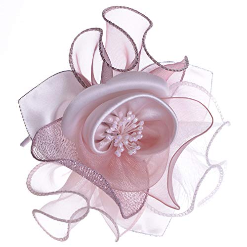 TeƃI[KW[̃RT[W { w  Ǝ  (CgsN)