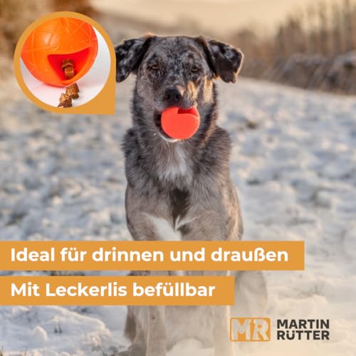 Martin Rütter Hundeball „Moby“ Blau – Hundespielzeug aus 100% Naturmaterial, springt unvorhersehbar und fördert Spiel, Bewegung & Auslastung