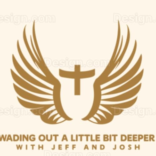 Jeff and Josh Show cover art