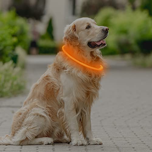 Coolzon LED Leuchthalsband Hundehalsband Aufladbar, Wasserdicht Halsband Hund 3 Modi Längenverstellbareres Super Helle Kalsband Katze und Hunde Klein Groß Mittel, Orange