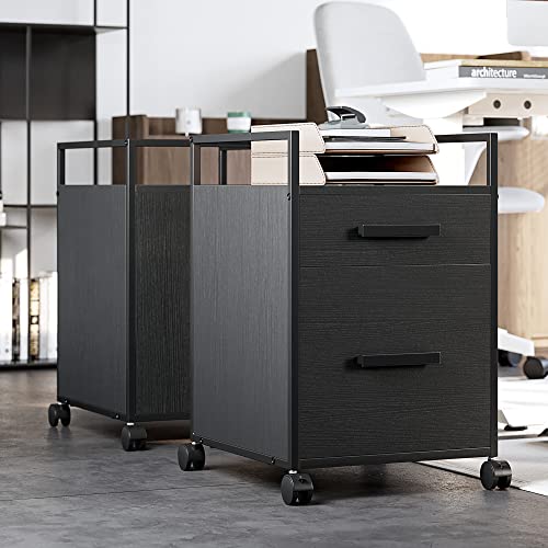 Fezibo Height Adjustable Electric Standing Desk With Double Drawer, And 2-Drawer Mobile File Cabinet, Ergonomic Home Office Furniture And Wooden Storage Cabinet (Bundle) #TOP7