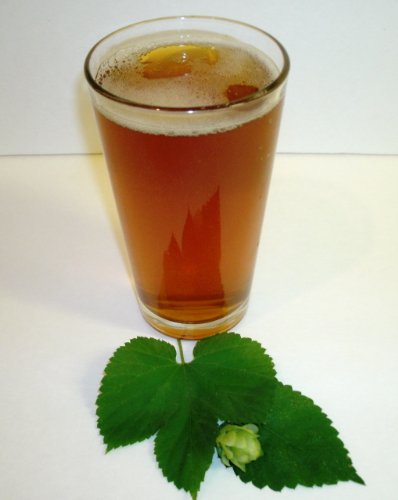 1 Gallon Beer Recipe (Amazing Amber)