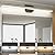SineRise LED Modern Bathroom Vanity Light Bar (48-Inch, 3000K/4000K/6000K), Matte Black Dimmable Modern Acrylic Bathroom Wall Lighting Fixtures Over Mirror