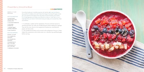 image for Callisto The Big Book of Organic Baby Food: Baby Purées, Finger Foods