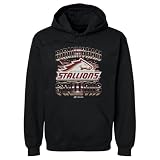 500 LEVEL Birmingham Stallions Vintage Men's Hoodie Sweatshirt (Black, Large)