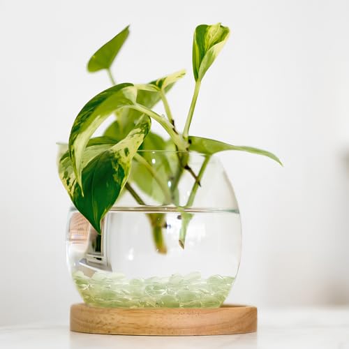 Vase en Verre Résistant Décoré de 500 Perles de Verre Robustes - 5