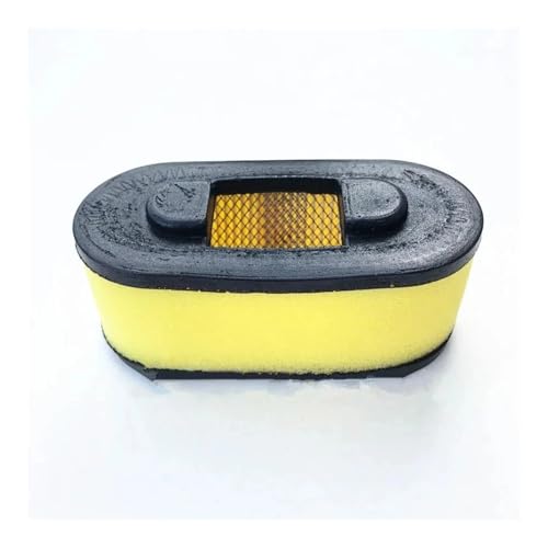 Filtre à air moteur 1P68FC haute filtration pour tondeuse AOMAIK520