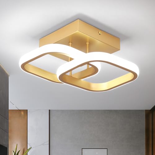 EIDISUNY Modern Ceiling Light LED 22W Elegant Square Ceiling Lamp Cool White 6000K Gold LED Ceiling Lights Fixture for Hallway Office Bedroom Kitchen Living Room Bedroom Dining Room - 22W Gold