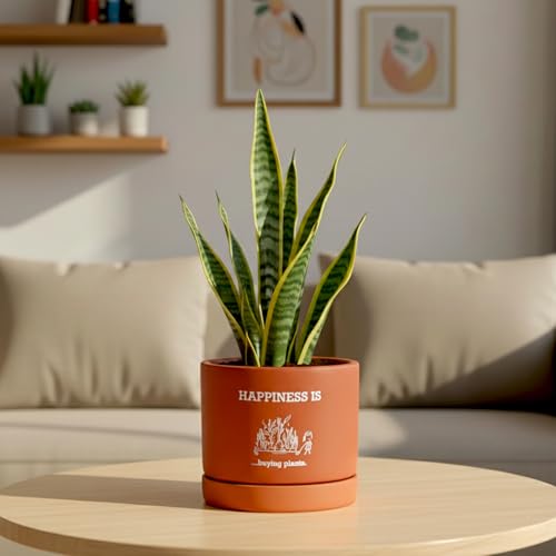 Image of Urban Plant Happy Plant Terracotta Pot with Saucer (5 Inch) | inchPlants Make People Happy inch Printed Clay Planter | Indoor Decorative Pot with Drainage Hole for Tabletop, Desk & Home Decor