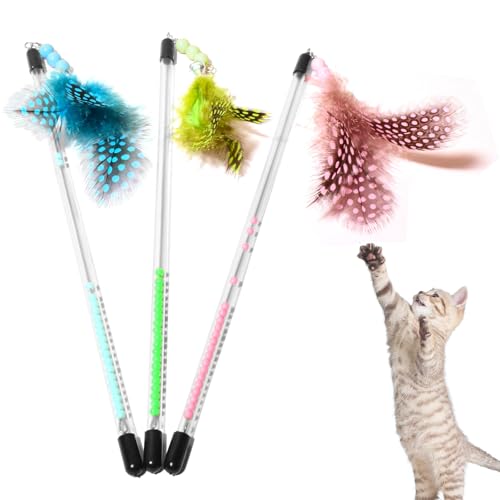 �L �������� �L����炵 3�{�Z�b�g 3�F�̉H���������3�F�̐L�k���n���h���t�� �˂�����炵 �^���s������ �L�V�ѓ���