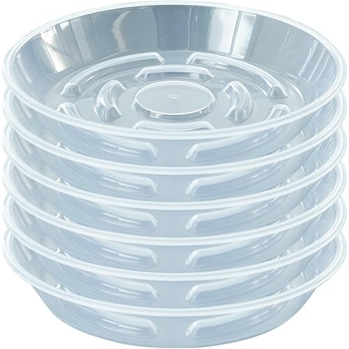 MSKIAUO 6 Packs Plant Saucer, Clear Pot Tray 6 8 10 12 14 Inch Plastic Flower Planter Saucers and Drip Trays for Indoors Outdoors, Heavy Durable Plant Plate Water Catcher (6 Inch)