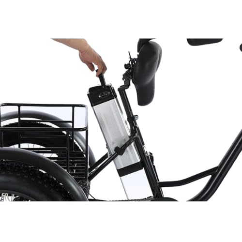 Triciclo elettrico per adulti, adatto a ragazzi e adulti, 500W 48V, 20" Fat Tire, 3 ruote, con batteria rimovibile e kit di attrezzi, adatto a tutti i terreni.