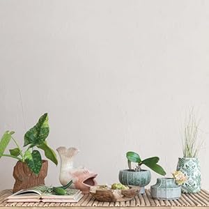 Creative Co Op Terra Cotta Vase Planter with Embossed Lines and Crackle Glaze Green