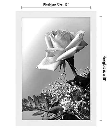 Americanflat 12x18 Poster Frame with Polished Plexiglass - White Picture Frame - Wide Photo Frames Made of Engineered Wood for Vertical or Horizontal Wall Display - Epic Collection - White