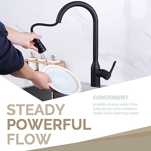 Replacement Faucet Sprayer Head, Angle Simple Kitchen Sink Faucet Nozzle Head, Pull Down Faucet Part, Male Threads, Matte Black #TOP4