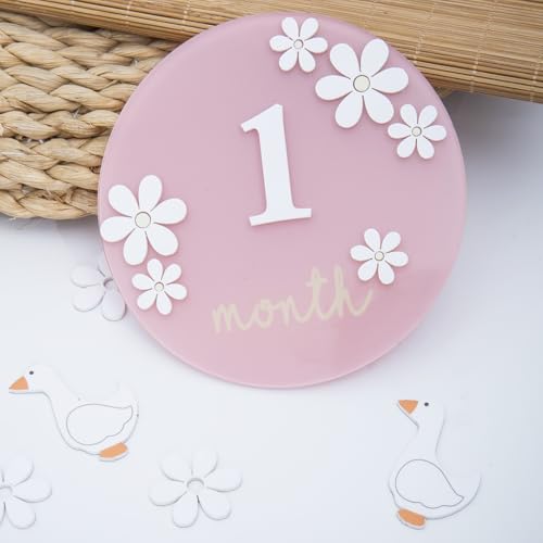 Image of Acrylic Daisy Baby Milestone Cards, 3D Baby Milestone Signs, 1-12 Months Interchangeable Monthly Milestone Sign, Baby Announcement Sign, Baby Photo Prop