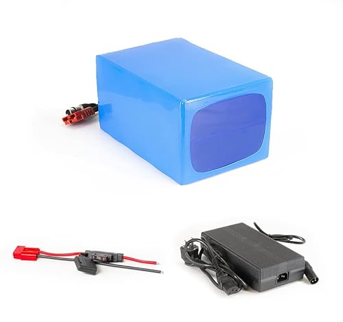 Lithium-Ionen Akku 60V 30Ah 1800Wh Akkupack incl. 60A BMS & Ladegerät für Scooter E-Bike Pedelec Cover