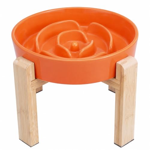 Elevated Slow Feeder Ceramic Dog Bowl with Stand, 8.8