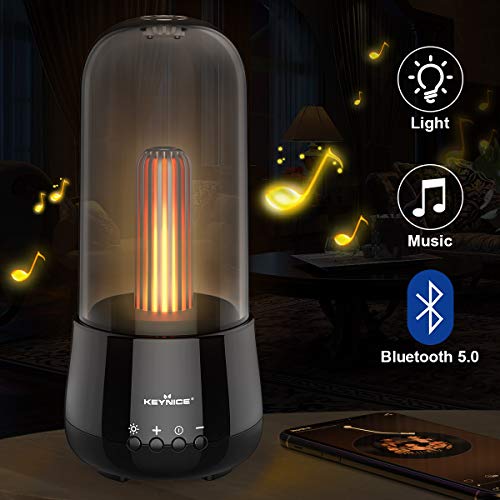 KEYNICE Wireless Bluetooth Speaker with 2 mode LED Light, Portable Night Light Bluetooth Speaker Dimmable, Rechargeable Mini Bluetooth Speaker with Mood Light, for Women Men Kids Teens Girl