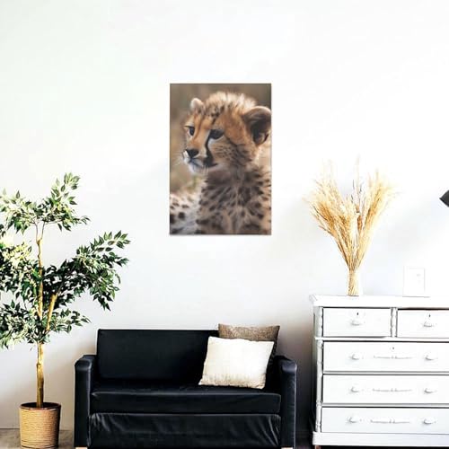 Toile bébé guépard impression HD supérieure 30,5x45,7 cm durable